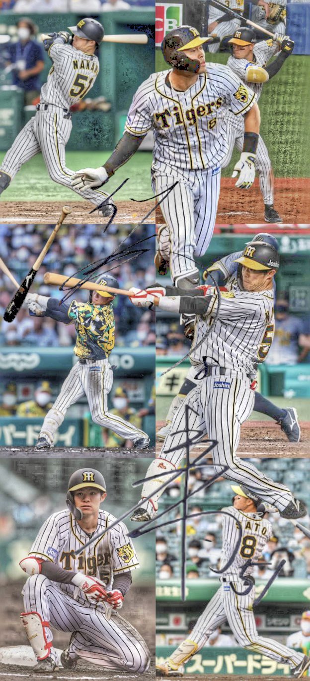 ダイナミック壁紙野球 Rkxmljaxoqkpoxi Twitter