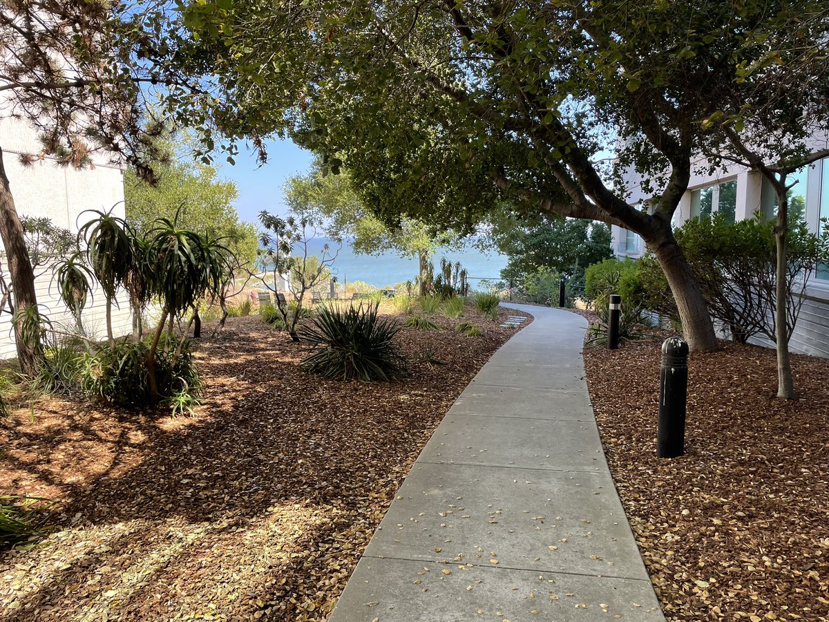 Teddy Yewdell tweet media