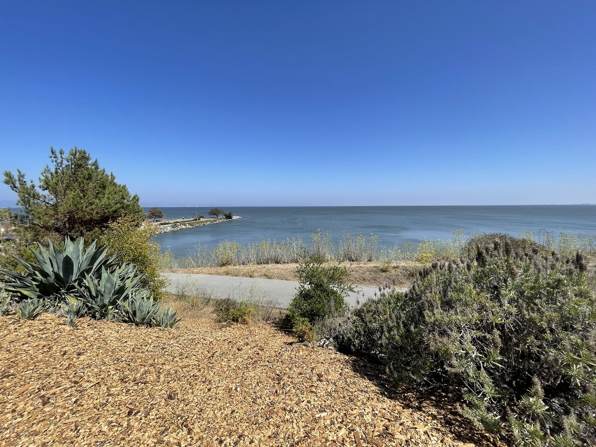 Teddy Yewdell tweet media