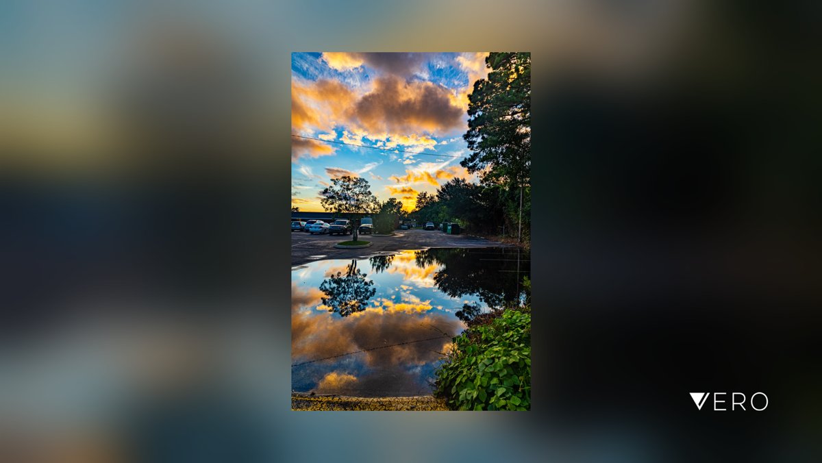 limjamalhq's tweet photo. Wilmington North Carolina sunsets

#Outdoors #Sky #Tranquility #Nature #TranquilScene #Cloud #Reflection #Idyllic #Tree #sunset #sunscapes #landscape #photography #canon #canoncreator #canonr6 #teamcanon #teamcanonusa https://t.co/9NQ7jkFqR1 https://t.co/VRSbgxk6Rg