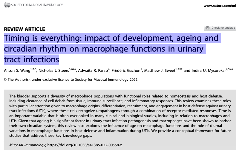 The Sweetest Lab (@thesweetgroup) on Twitter photo Congrats to our PhD student Alison Wang & Nick Steers from <a href="/MysorekarLab/">Dr. Indira Mysorekar</a> on their review on ageing & circadian rhythm in macrophage functions during UTIs. Many thanks to @GachonF & <a href="/AdwaitaParab/">Adwaita Parab</a> for their contributions!
<a href="/MucosalImmunol/">Mucosal Immunology</a> <a href="/IMBatUQ/">Institute for Molecular Bioscience</a> <a href="/UQ_News/">UQ News</a>
rdcu.be/cUzMj Congrats to our PhD student Alison Wang & Nick Steers from <a href="/MysorekarLab/">Dr. Indira Mysorekar</a> on their review on ageing & circadian rhythm in macrophage functions during UTIs. Many thanks to @GachonF & <a href="/AdwaitaParab/">Adwaita Parab</a> for their contributions!
<a href="/MucosalImmunol/">Mucosal Immunology</a> <a href="/IMBatUQ/">Institute for Molecular Bioscience</a> <a href="/UQ_News/">UQ News</a>
rdcu.be/cUzMj