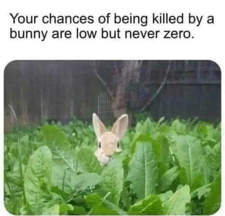 HPL_JDeLaughter's tweet image. 🐰💀Yes, your chances of being killed by a bunny are low, but never zero...🐰💀#MotivationalTuesday #Rabbitsfoot #MontyPython #SerialKiller #Horror