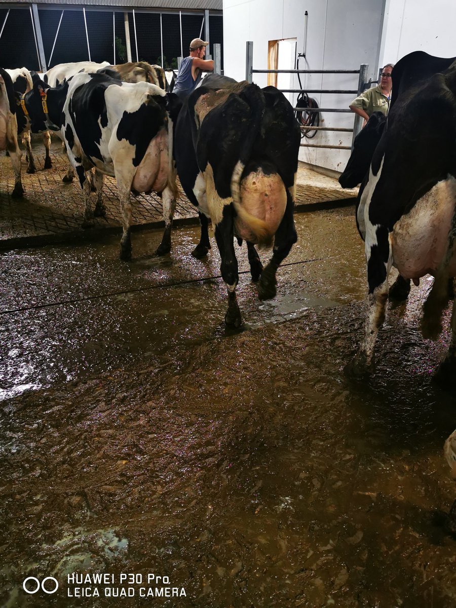 Nelson74 tweet media