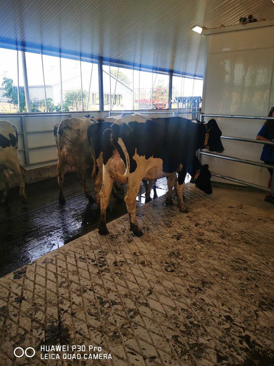 Nelson74 tweet media