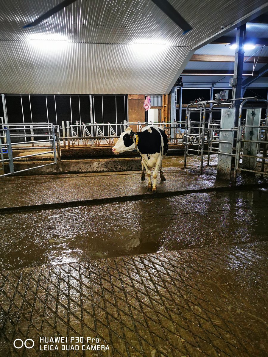 Nelson74 tweet media