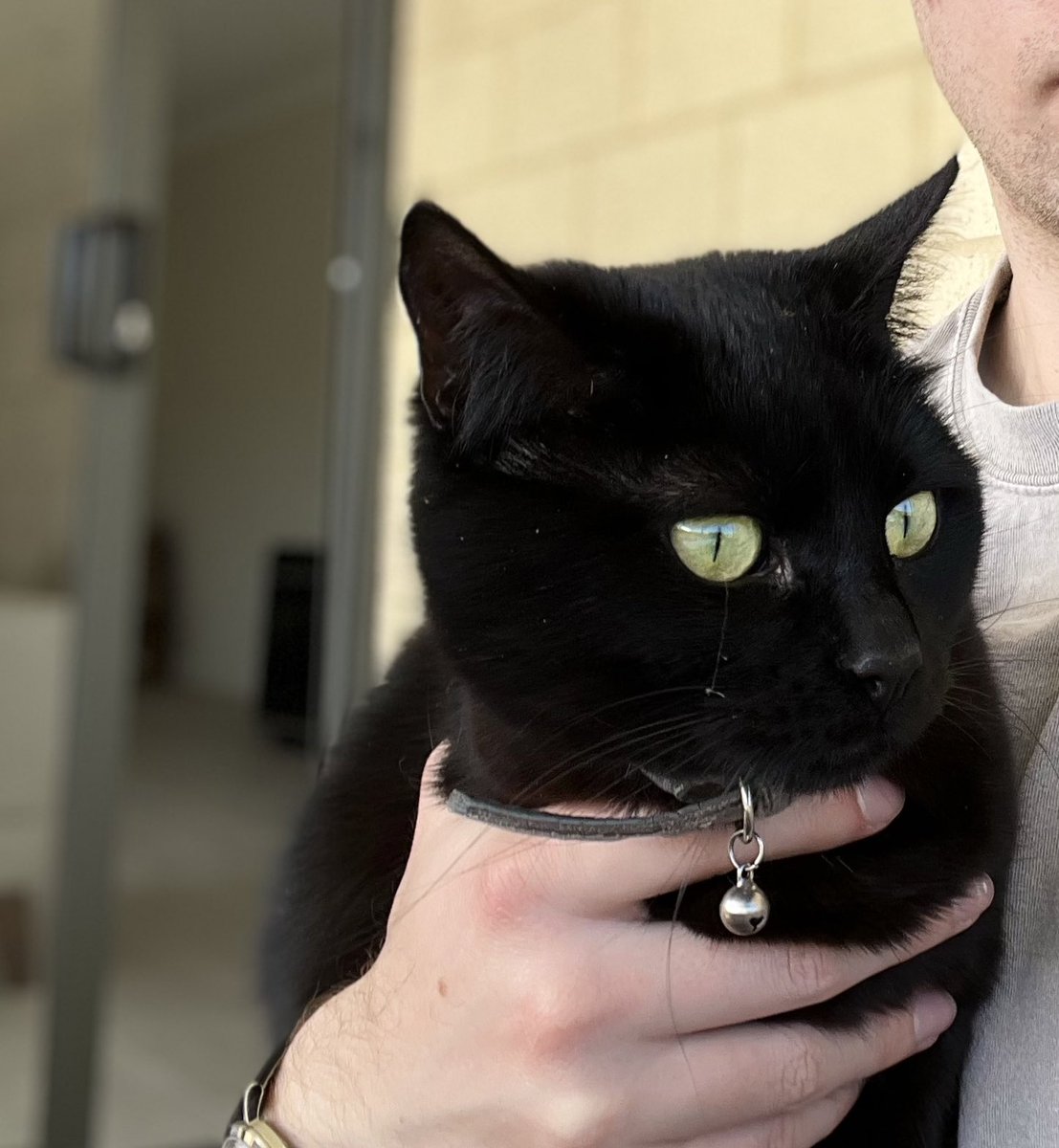 🌸 🅃🄷🄴 🄶 🇦🇺 tweet media