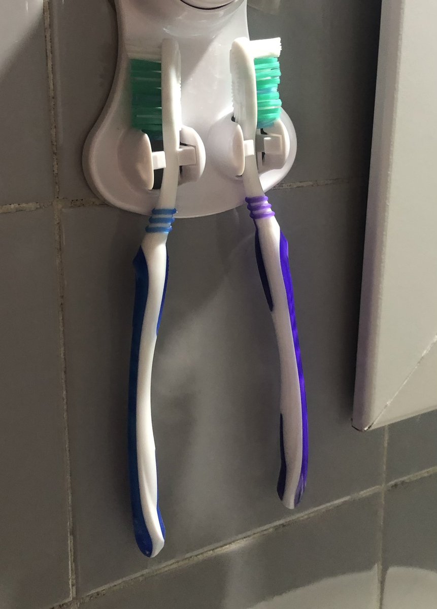 mi novio: amor por qué nuestros cepillos están peleados?
 los cepillos: