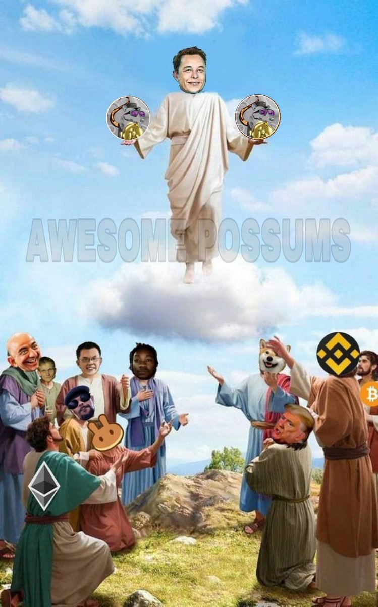 mendelae2 tweet media