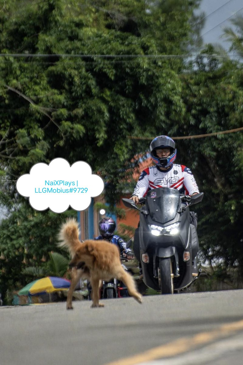 Naixplaysph's tweet photo. w/ Jawo Motovlog
@LLGuild
#WeAreLimitLess #LLGMobius #LimitLessQuest #LLGLoveDoggo https://t.co/igWSm8Ov9s
