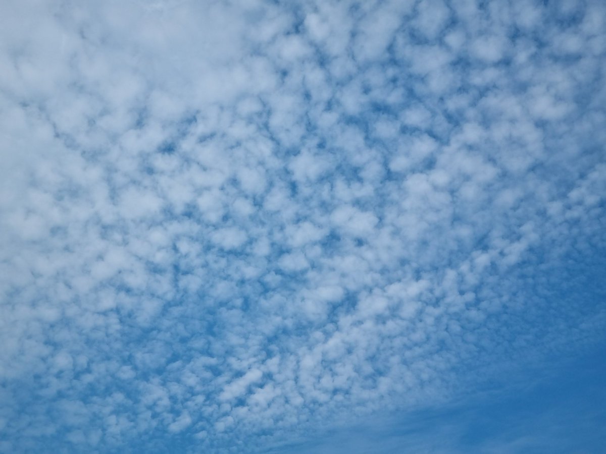 민트향 (@mint_0205) on Twitter photo 