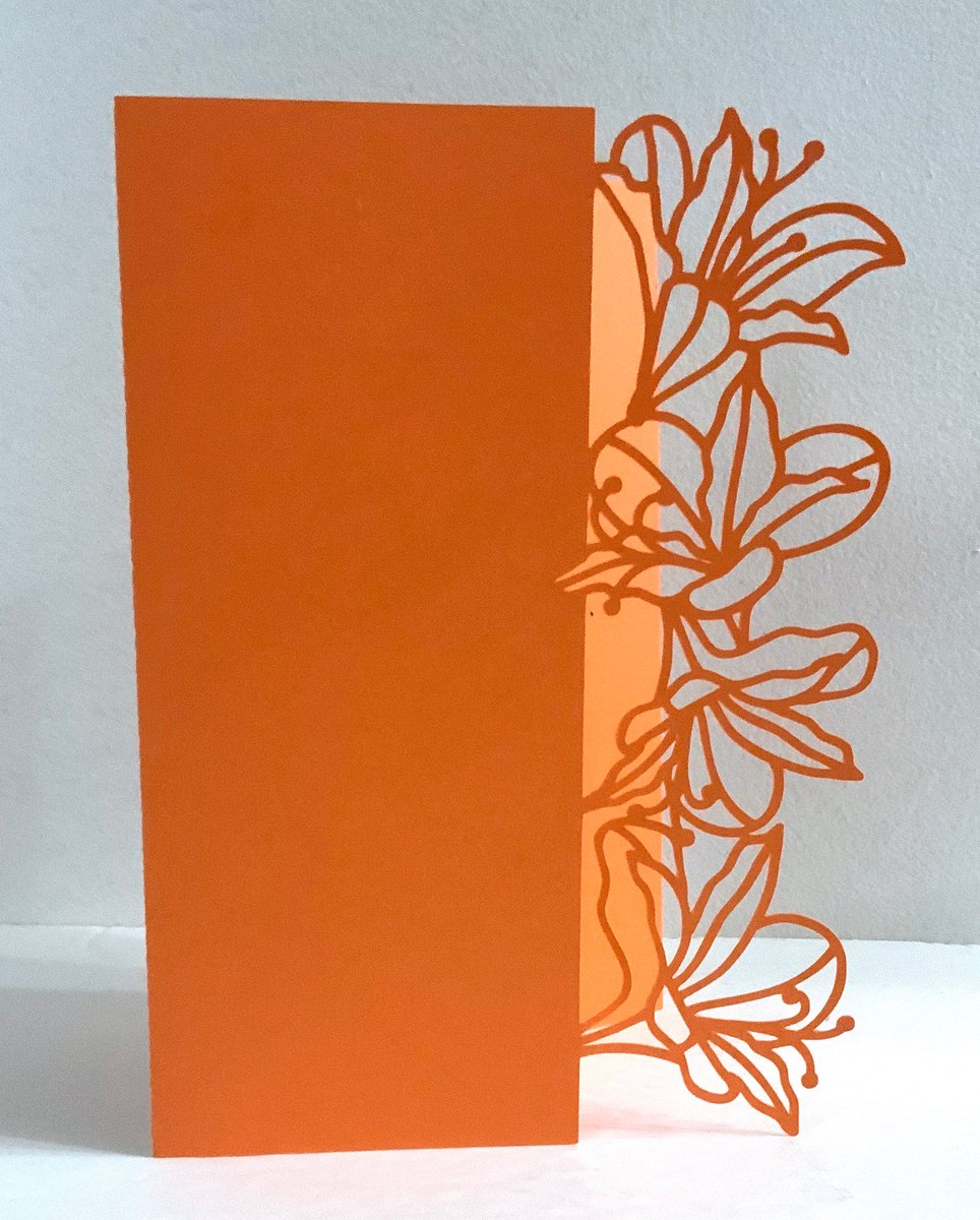 Zerdoirredento's tweet photo. Alstroemeria Lace Edged Card ,  Blank Inside , Flower , Intricate , Beautiful , Gift , Family , Friends
 #edged #blank #card #Alstroemeria #IntricateBeautiful #GiftFamily #lace #AAmazingPaperCraft #EtsyEmail

👉https://t.co/MppiWzuLhq https://t.co/clnswrlgM4
