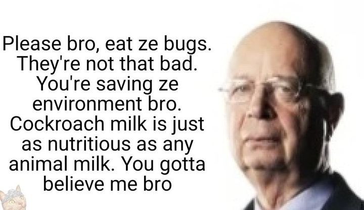 Being Libertarian (@beinlibertarian) on Twitter photo 