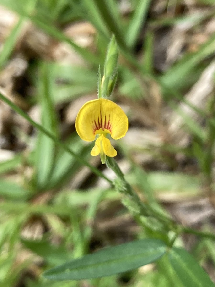 คนเบื่อชีวิต (@crazynew_rk) on Twitter photo 