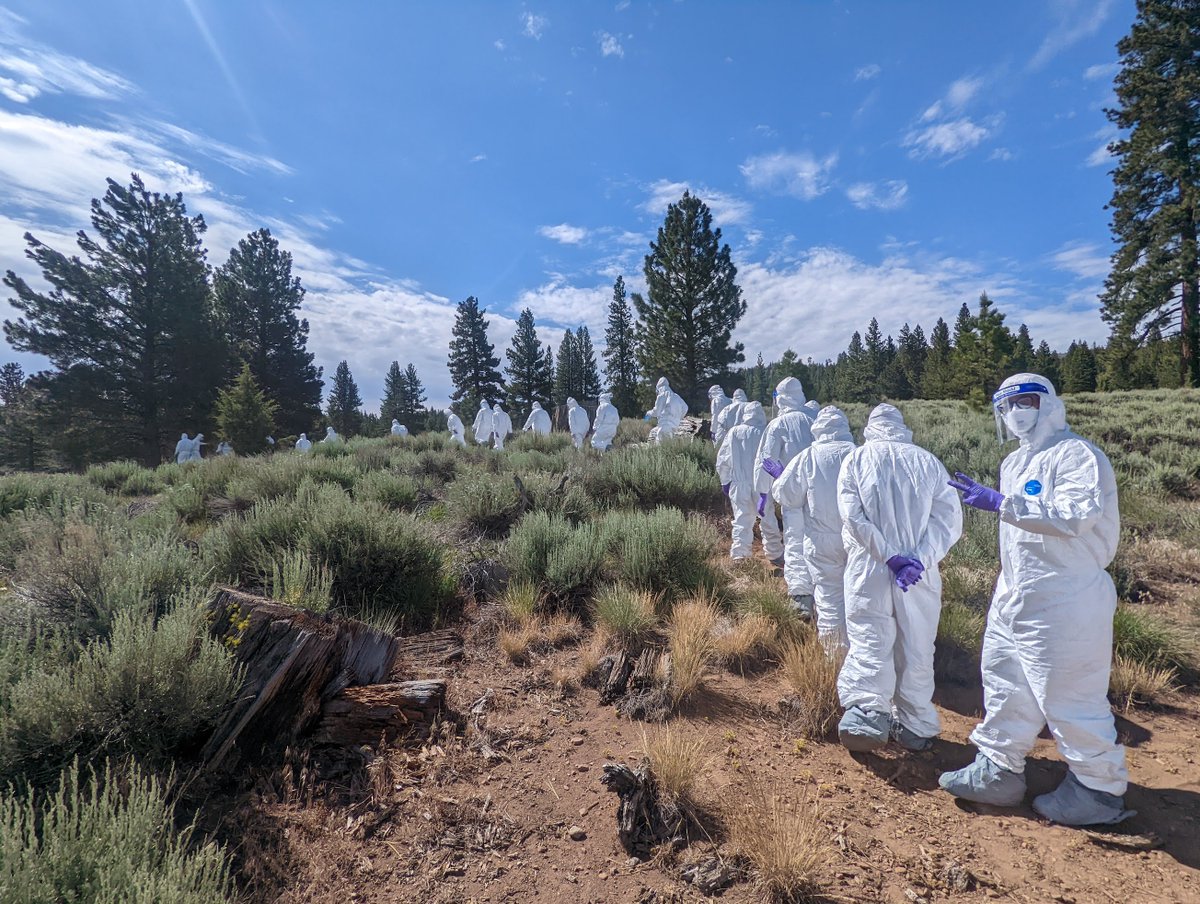 HuanDongMD's tweet photo. @AAPSOPT #Thankful for @KiranPedsDoc @UCLAMCH and @OneHealthUCD for this incredible experience with the RX One Health Field Course 2022 ... Teamed up with Vets to learn about animal sampling during outbreaks amongst other things -- not your typical "global health rotation" #PedsGH2023 https://t.co/TtVcP2pPRF