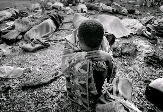 getonthebus2020's tweet photo. @DrTedros The reality is #TPLFisaTerroristGroup supporters do not want this war to end cs most do not live in Ethiopia and the war doesn’t affect their lives .Their job is to fabricate lies to help #TPLF to continue using kidnapped children of Tigray as shield in their power greed war. https://t.co/00WINqhbJk