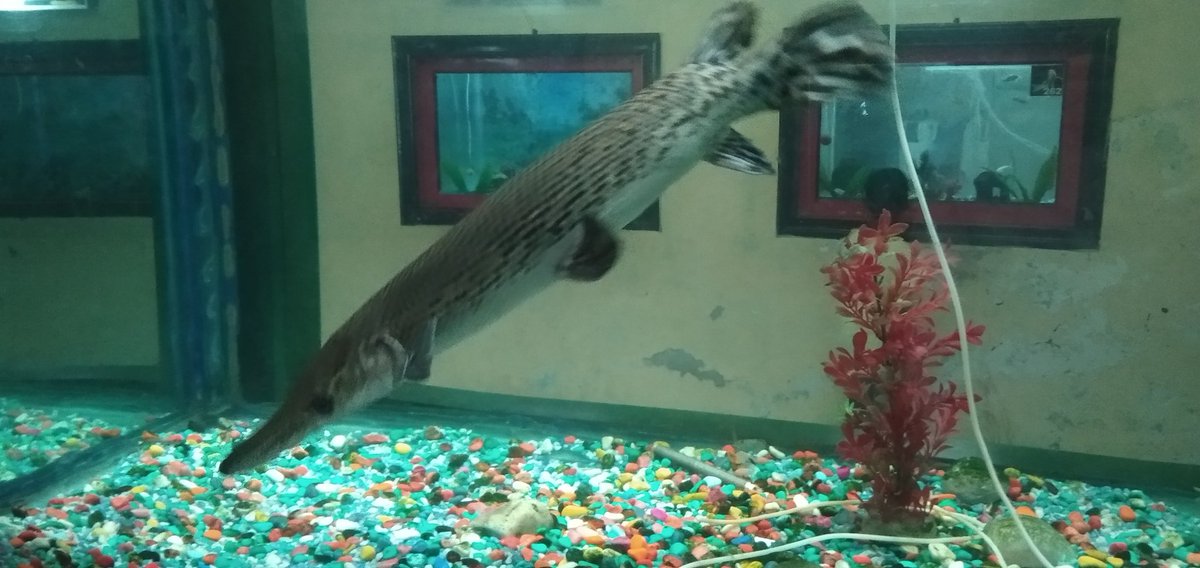 Satya pal student of Law (@satya08631805) on Twitter photo 