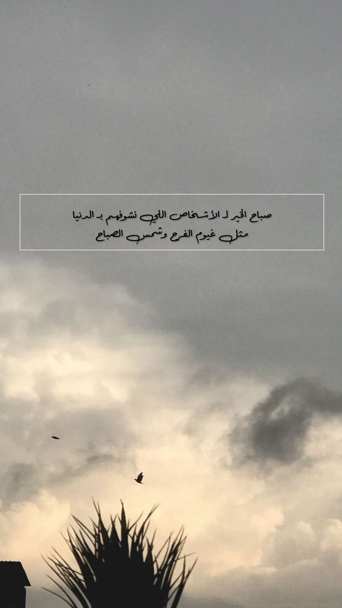 lovly__24's tweet photo. #صباح_الخيرᅠ
الحياة مُستمرة سواء ضحكت أم بكيت .. 
لا تحمّل نفسك هموماً لن تستفيد منها .. 
تذكر بأن القلق لا يَمنع ألم الغد ولكنه يَسرق مُتعة اليوم💜
#صباح_الخير لكم جميعا أحبتي https://t.co/mwmv1OhZAQ