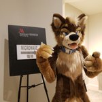 Photo by 🐾💜Sharky!!🐾💜 (@PictureSteaks)