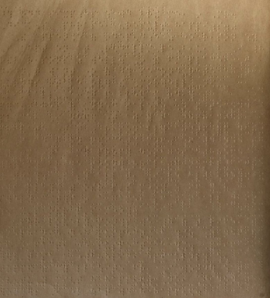 Braille Playboy (1992)