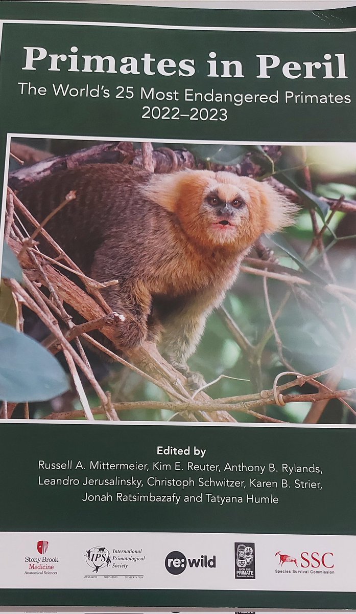 MelissaERodrgu1's tweet photo. Sharing with other #Primatologists of the region in the #cprim2022 in Sinop, #matogrosso. It is always great to represent #Mesoamerica and to learn from other experiences in #conservation for the #Primates of the #Neotropics. Many thanks to @rewild, @IUCNssc, and #margotmarsh. https://t.co/MFpK7l6hzb