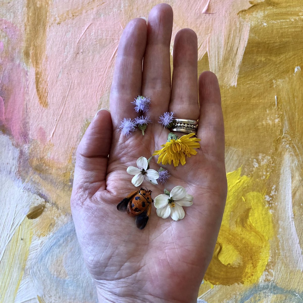 MandalouAu's tweet photo. Gardening today! My hands are full ๐คฒ๐ปโจ #handsful #heartful #collecting #for #more #woven #gardens #painting #textiles #suburban #picks #nftart #nftartists #nftcommunity #creative #play #creative #process #artist #NFTs https://t.co/fcnAUd1zJz