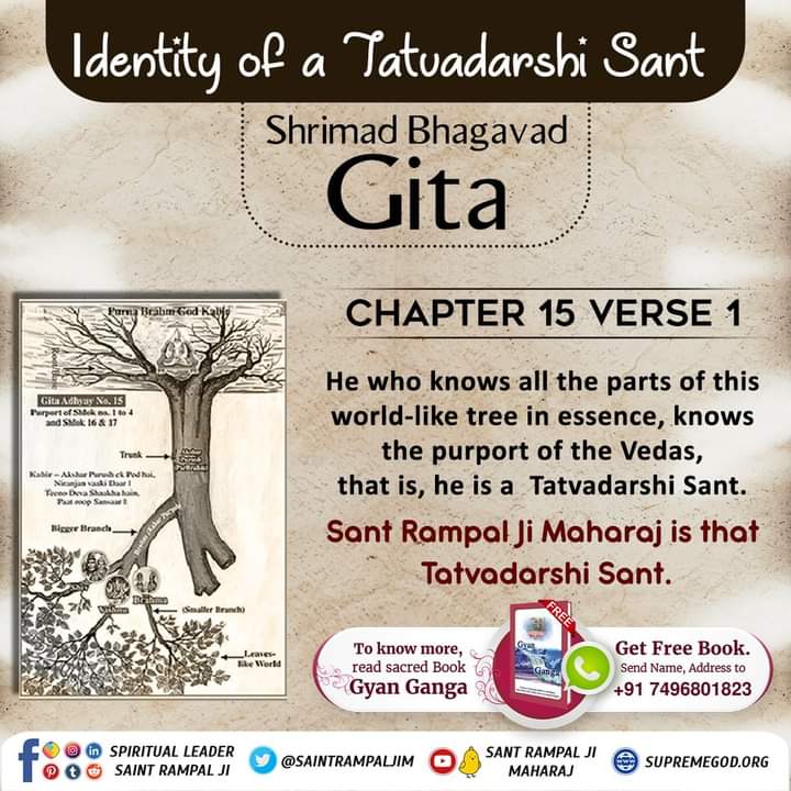 SohanGa90840084's tweet photo. Identity  of a Tatvadarshi Saint  Shrimad Bhagavad Gita https://t.co/nSM6crKcSg