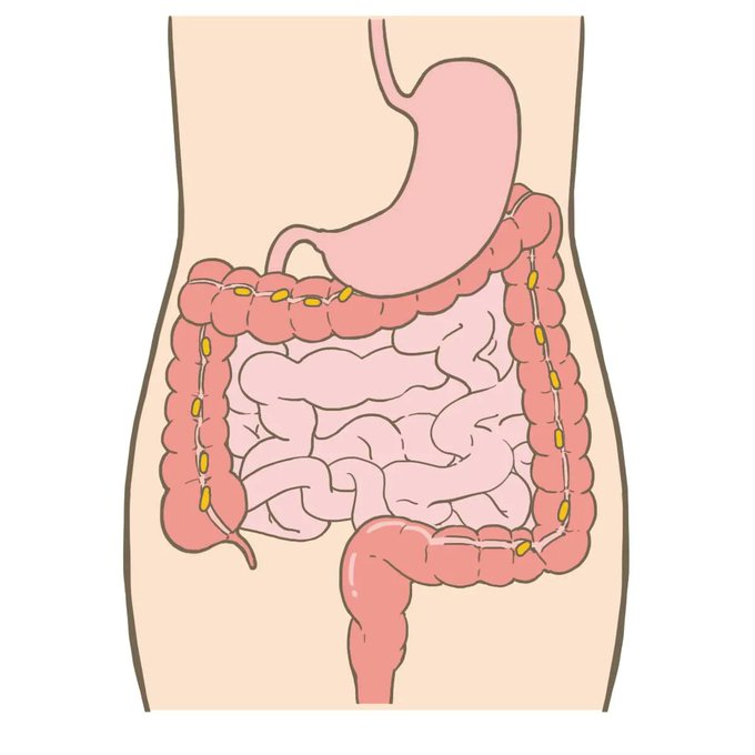 フリー素材のtwitterイラスト検索結果