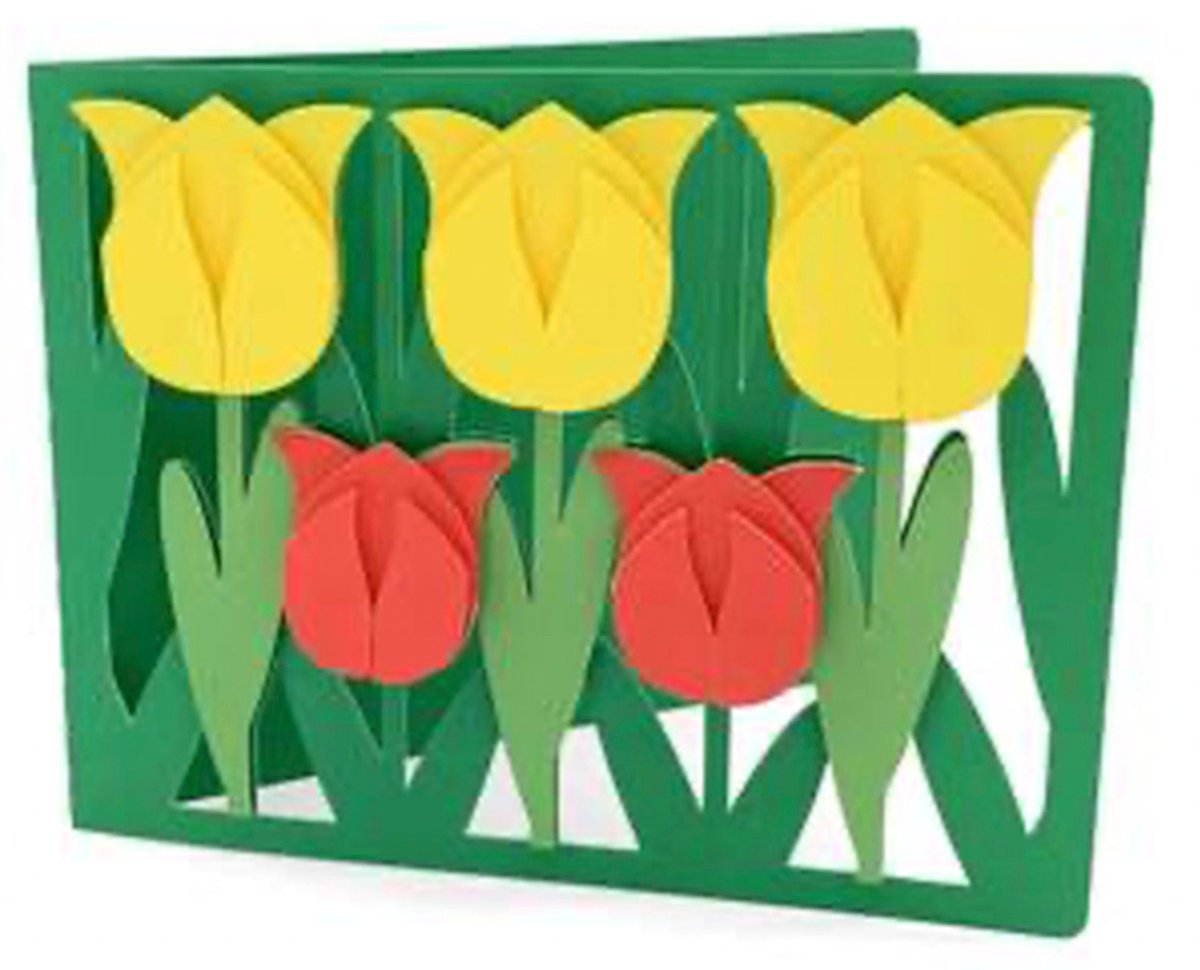 feministArduino's tweet photo. Tulip Card , Blank inside , Flowers , Garden , Friend , Family , Yellow, Red ,  Spring , Summer , Papercut , Grow , Plant Life
 #Yellow #Friend #RedSpringSummer #PapercutGrow #TulipCardBlank #PlantLife #AAmazingPaperCraft #EtsyEmail

👉https://t.co/zIziUWJ5mv https://t.co/FYAeOci2Dx