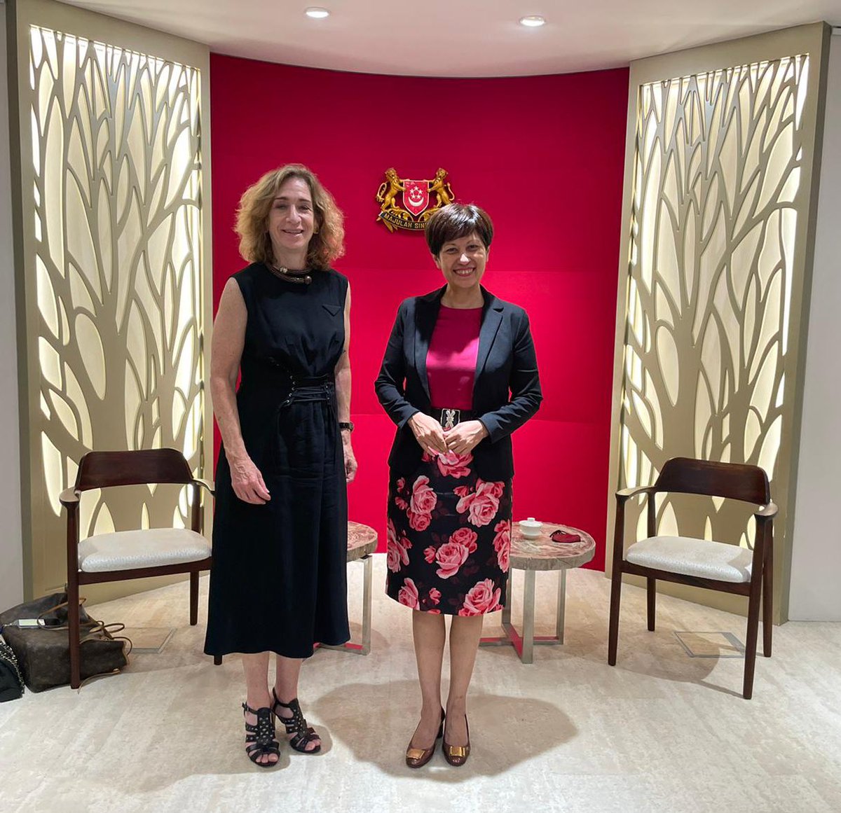 ruthehorowitz's tweet photo. A pleasure to meet with @MOFsg Minister Indranee Rajah of #Singapore this week. We appreciate the long-term partnership and look forward to working together more closely to advance #sustainable infrastructure, #foodsecurity, and #digitalization in #SouthEastAsia and beyond. https://t.co/bBOYvVKnnT