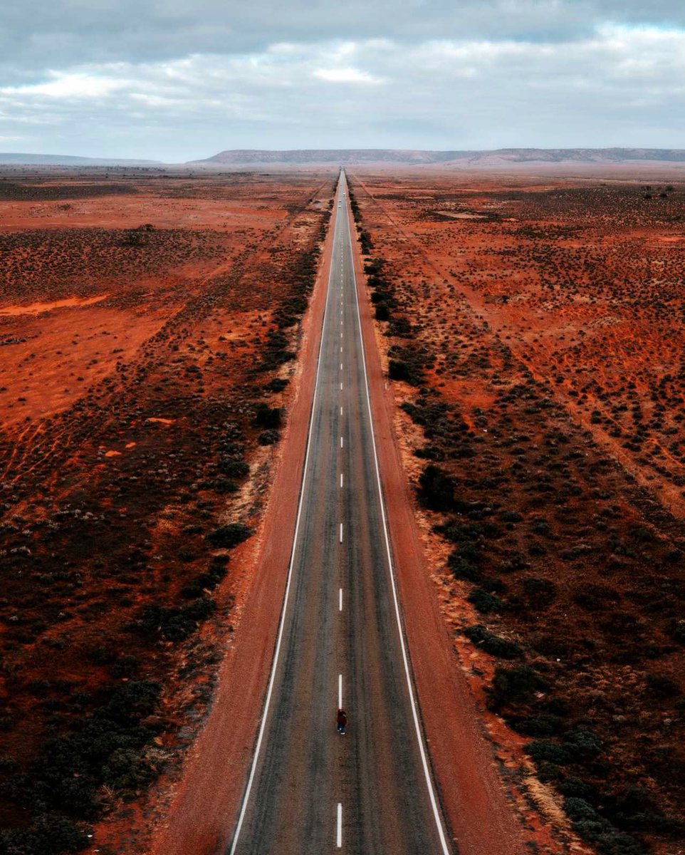 in_focus_studios tweet media