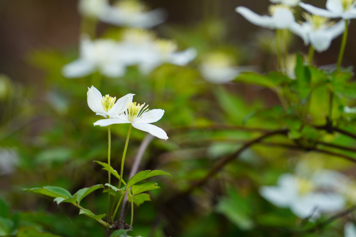 Good morning, #NFTCommunity! I wish you a good day ahead!