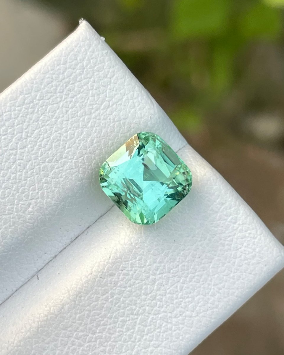 aarash19's tweet photo. Cushion Shape Loose Mint Green Tourmaline, 3.10 Cts Faceted Mint Tourmaline, Light Green Tourmaline, Natural Tourmaline Gem Crystal Stone
 #shape #loose #stone #mint #Tourmaline #Faceted #cts #TourmalineGem #Cushion #finefacetedgems #EtsyEmail

👉https://t.co/c3uU7ir4x6 https://t.co/ZPekYm9IGc