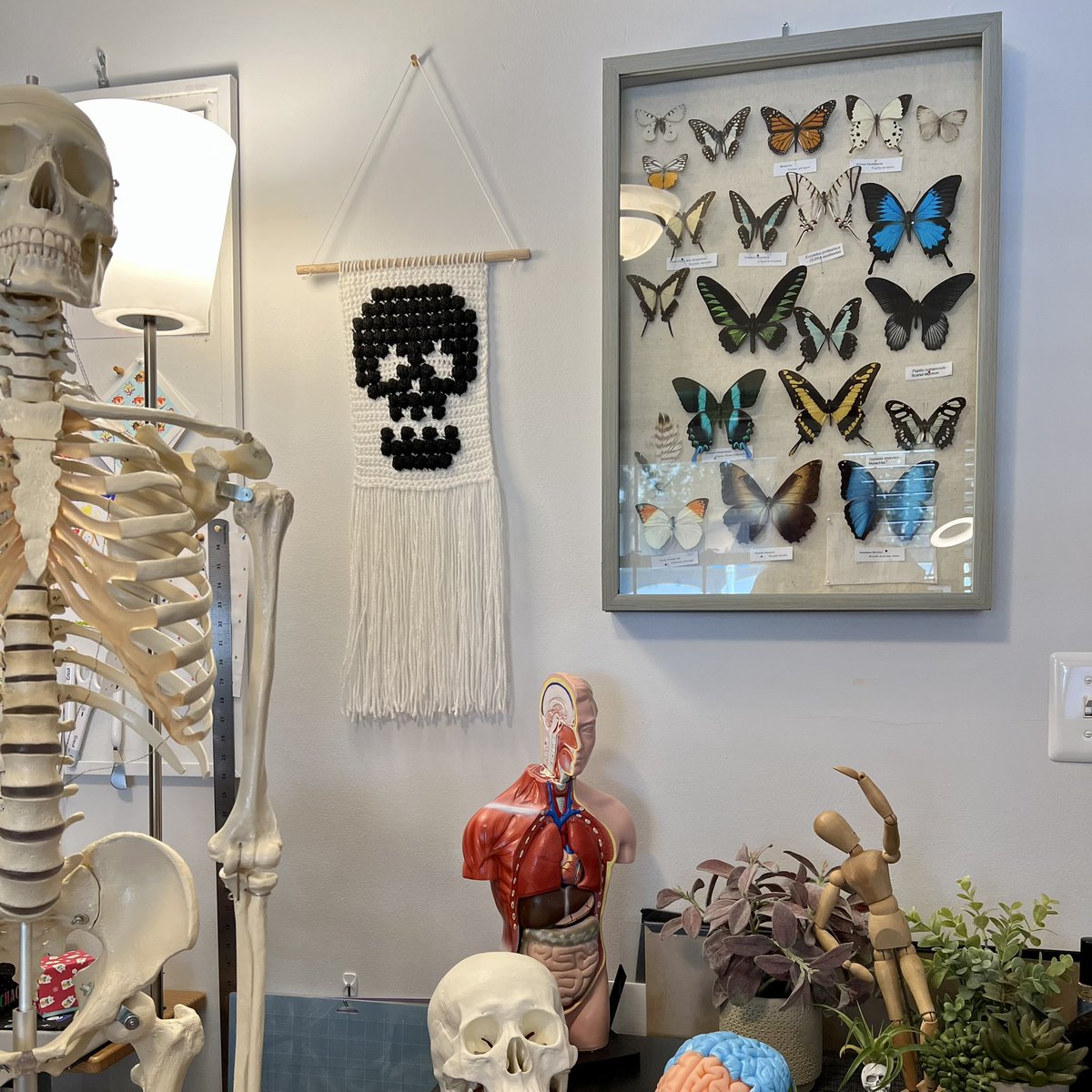 chrejsa's tweet photo. POV: you’re a medical illustrator so you buy things with skeletons on it, but people think you are just goth. https://t.co/5d3AcADBSx