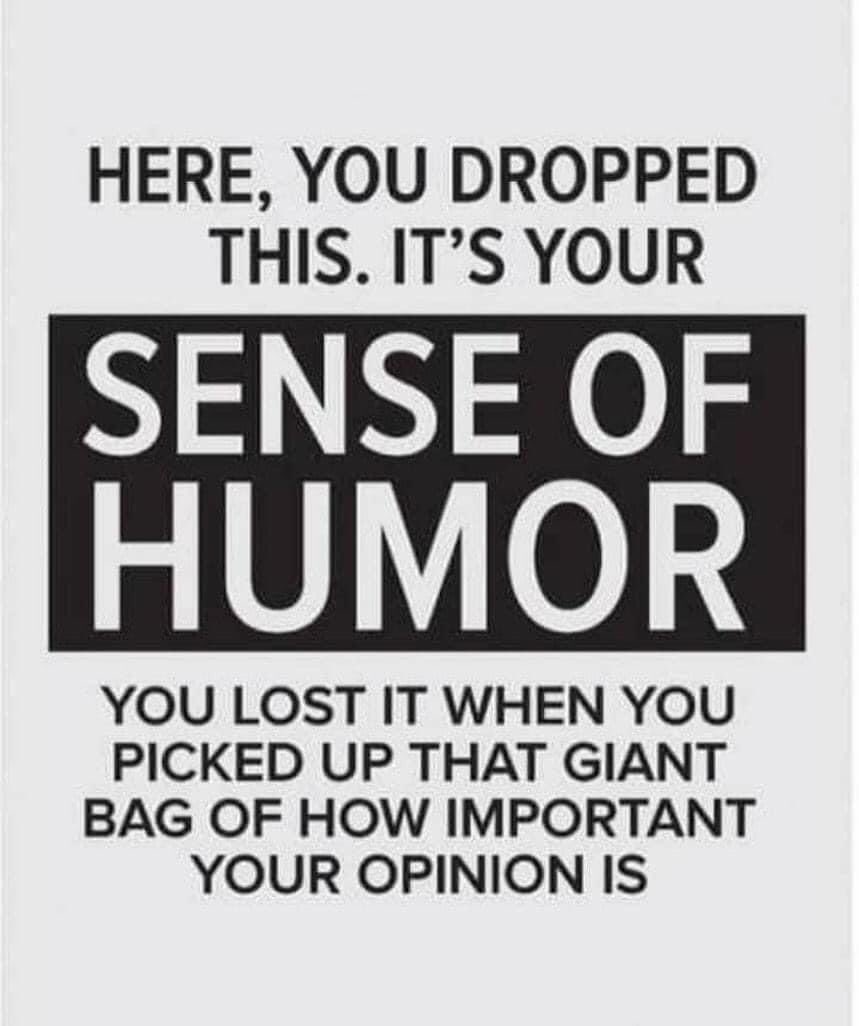 Pam Rubitsky 🐞 tweet media