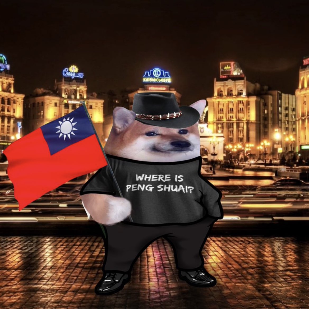 DrewPavlou's tweet photo. Proud member of #NAFO Pacific division - Ukraine and Taiwan will win 🇺🇦🇹🇼, Russian and Chinese colonial imperialist regimes will fall https://t.co/imj6dDWFut
