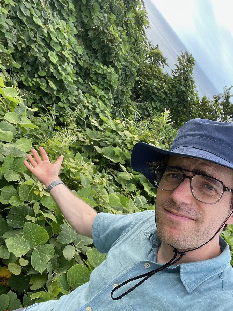 Luca C Malatesta (@_geoluca) on Twitter photo Finished 3 day on Sado Island (Sea of 🗾) to scope out sampling sites for a larger project w/ <a href="/SumikoTsukamoto/">Sumiko Tsukamoto</a> et al. (if funded 🤞🏻). Steep treads & v. thick sediment cover. Straths & outcrops overgrown in summer🌿🌲🌳🌱, a few ❌ on the map nonetheless! thx <a href="/sado_geopark/">【公式】佐渡ジオパーク推進協議会</a> #佐渡島 Finished 3 day on Sado Island (Sea of 🗾) to scope out sampling sites for a larger project w/ <a href="/SumikoTsukamoto/">Sumiko Tsukamoto</a> et al. (if funded 🤞🏻). Steep treads & v. thick sediment cover. Straths & outcrops overgrown in summer🌿🌲🌳🌱, a few ❌ on the map nonetheless! thx <a href="/sado_geopark/">【公式】佐渡ジオパーク推進協議会</a> #佐渡島