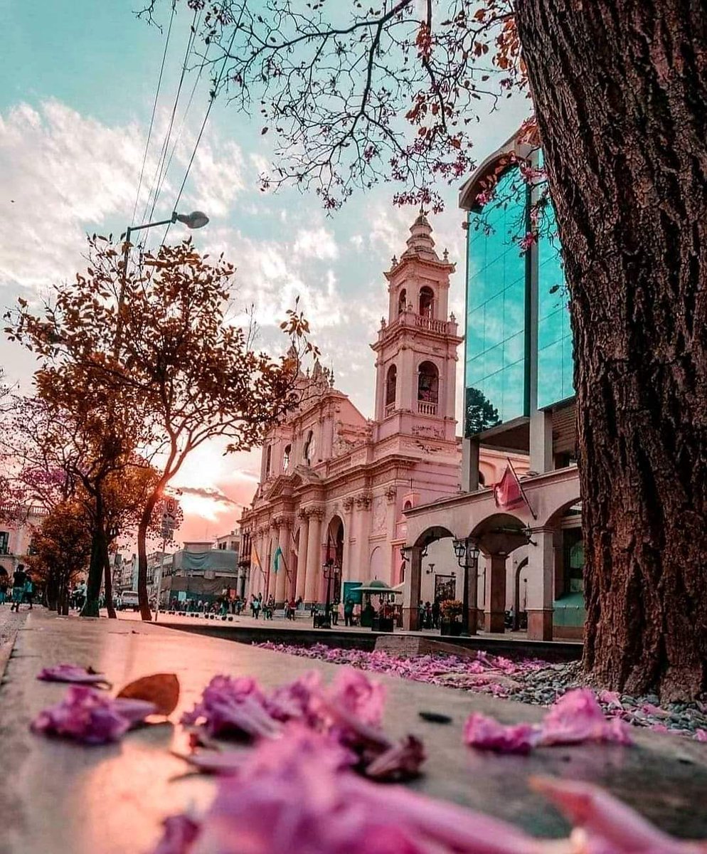 AbelCanonica's tweet photo. Se viene en Septiembre la Procesión del Sr. Y la Virgen del Milagro. #EnSalta #Srdelmilagro #Virgendelmilagro #SaltaTanLindaQueEnamora
Me gustaría estar https://t.co/BQEw5npn6w
