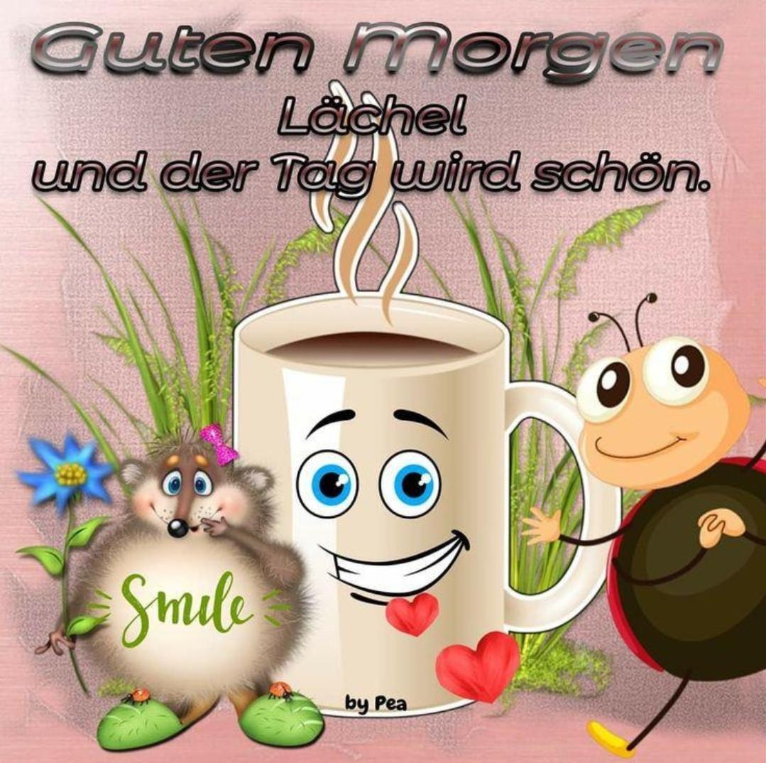☕️🍩🫖🍩 Moin Ihr Lieben 💜 schönen Mittwoch 😘 bei aktuell 16 Grad in  Nürnberg 🌸 der Mann war am Montag auf Arbeit ✈️ zusammengeklappt😪  deswegen gestern bei Doc 👍 Post Covid, Schwüle, image size:1079x1074