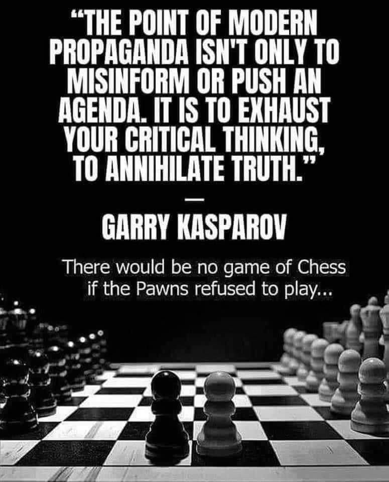 TRBRajaa's tweet photo. "to exhaust critical thinking" is the core agenda of many who look to massacre #democracy ... https://t.co/IWCHoXwZNC