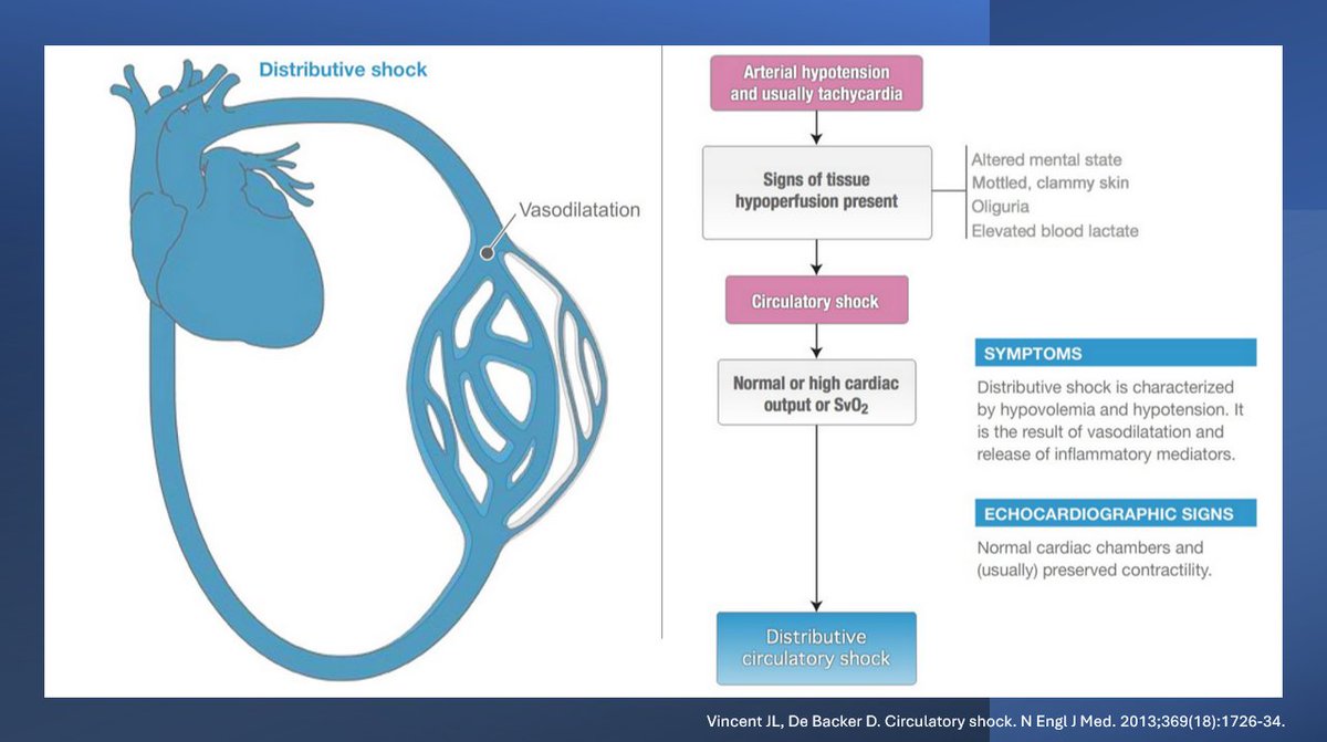 NephroP's tweet photo. Shock
#POCUS #MedEd #CriticalCare #Nephrology https://t.co/1QftExOGoR