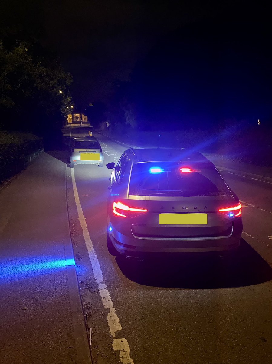 PD Xena & PD Teddy tweet media