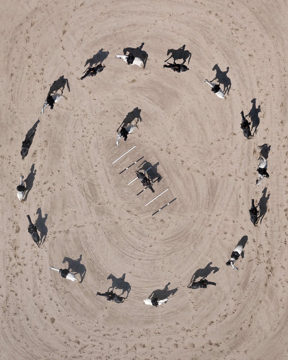 Petra Leary tweet media