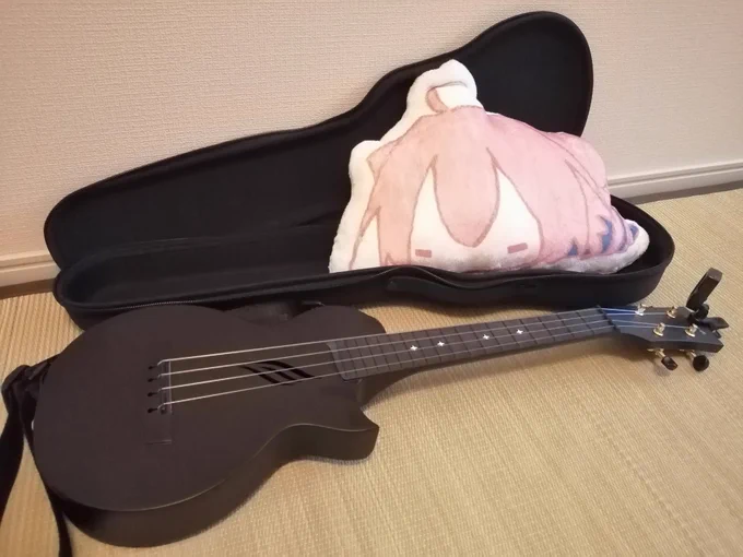Enya nova u というカーボン製ウクレレを購入してみたので練習に身を入れるため時々演奏を晒してみたいと思います 