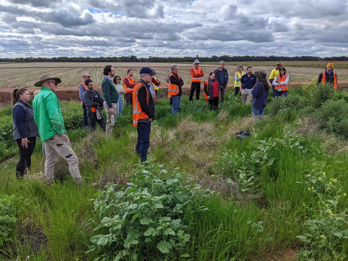 Great to be hosting partners of the #onebasincrc at the #IREC field station- giving a glimpse of #research & #trials. Looking forward to having even more #irrigation & #water focused research in the region!