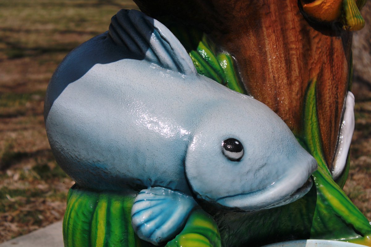 TheNetoJones's tweet photo. The coolest park water fountain I've ever seen. If you've seen anything better show me. #water #waterfountain #turtles #Catfish #salamander #fish #TURTLE #cityparks #keeptxbeautiful #ksmb #art #canon #canonphotography #canonfoto #canon90D https://t.co/cGPHRJZTfN
