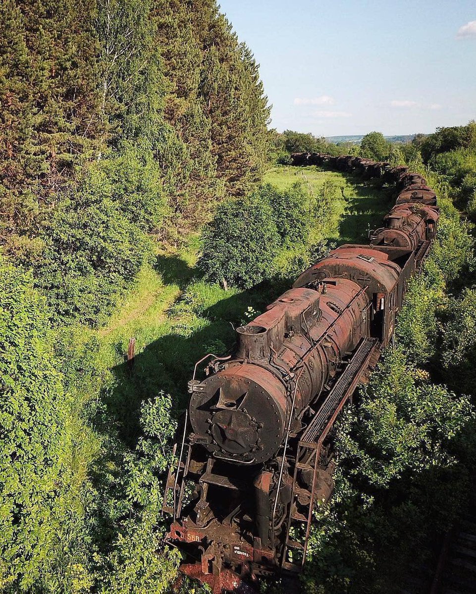 FendomGroup's tweet photo. Abended train 🚂 in neture (wow) https://t.co/szintdP5lj
