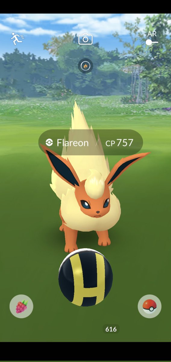 Rickazarus's tweet photo. A wonderful #WildSpawnWednesday to everyone!
#PokemonGO https://t.co/QeCAGAtcgL