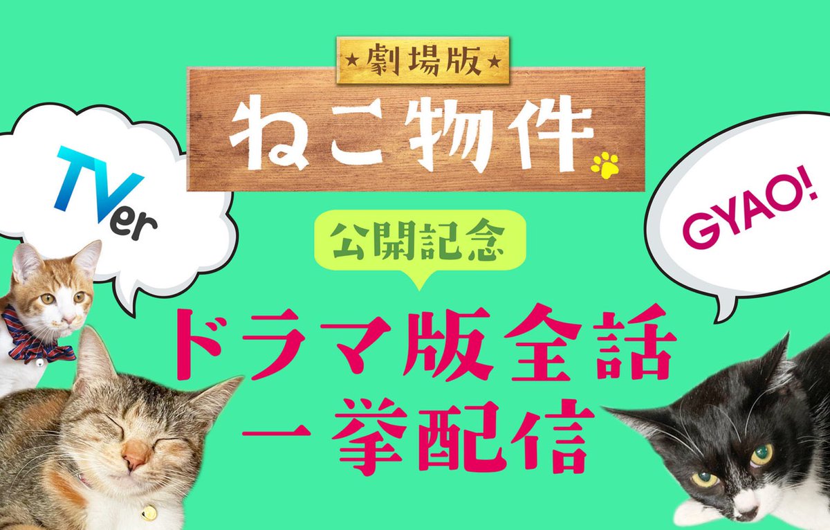 ／
    #TVer &amp; #GYAO!
    ドラマ版全話一挙配信 📺
　本日𝟮𝟯時𝟱𝟵分まで 🐈💨💨
＼

まだご覧になってない方も
もう一度観たい❣️という方も
まだ間に合いますよ🙌🏻🌟

『劇場版 #ねこ物件』𝟿月𝟸日(金)より
#イオンシネマ熊谷 にて上映開始します🎶
劇場版も引き続きよろしくお願いします☺️