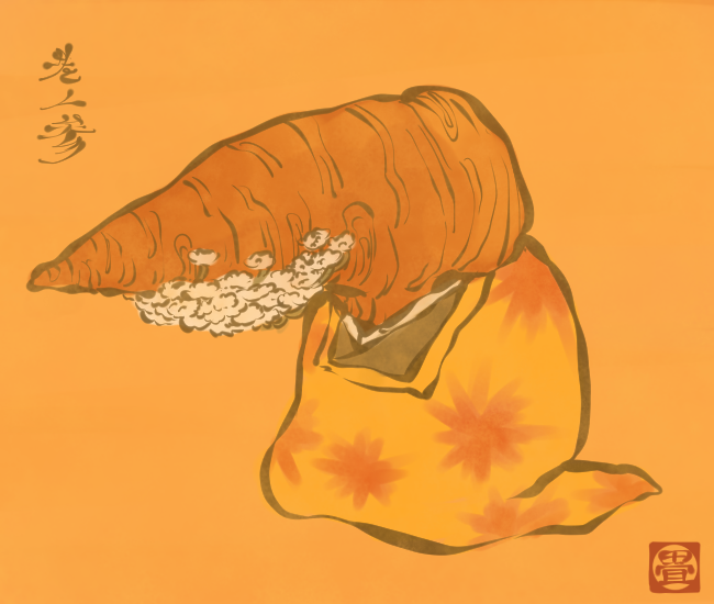 人参妖怪② 
