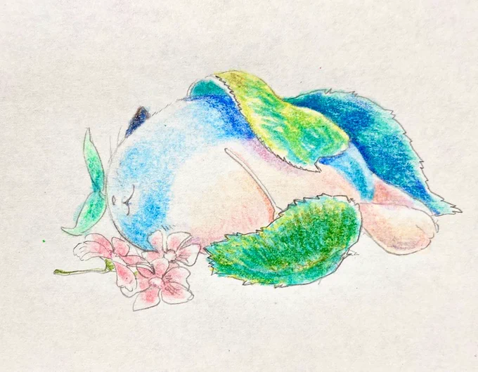  おまめ… 